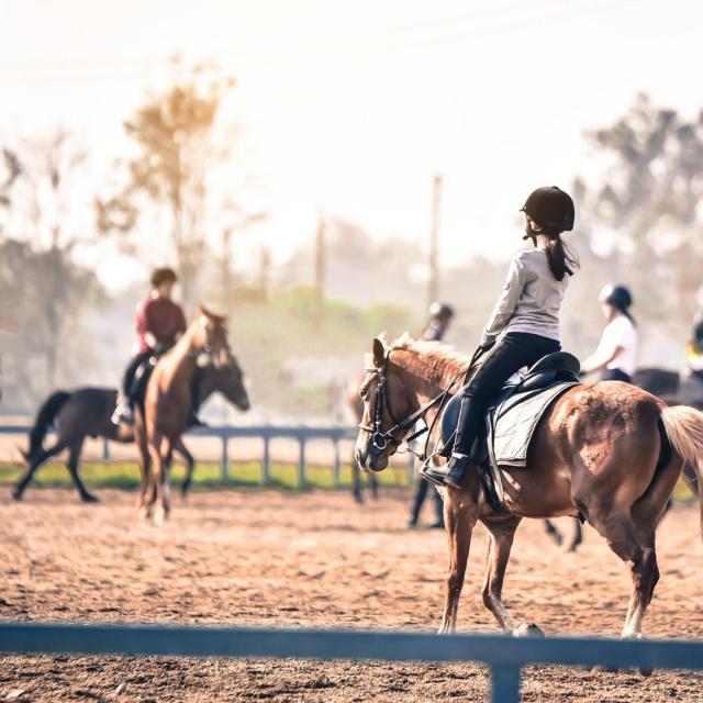 cours équitation